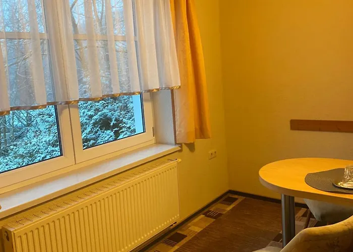 Gasthuis Bergterrasse Sitzendorf