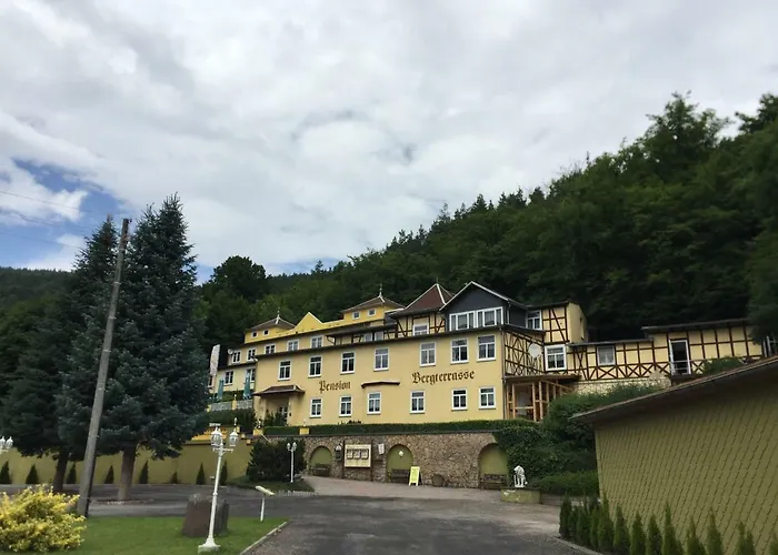 Gasthuis Bergterrasse Sitzendorf